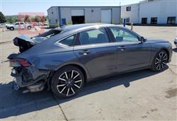 هوندا أكورد